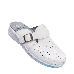 STI Orthopedic - Sabot...