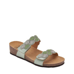 Scholl Abu Dhabi -...