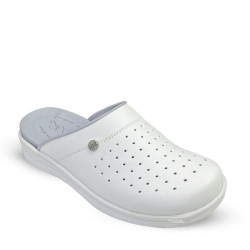 STI Orthopedic - Sabot...