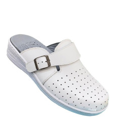 STI Orthopedic - Sabot...