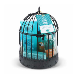 Kit cage cadeau Evasion -...