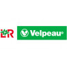 Velpeau