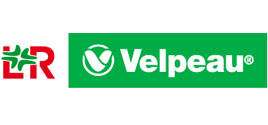 Velpeau